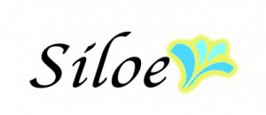 logosiloe